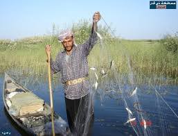 رابطة الصيادين في ذي قار تعزوا تراجع الاسماك في المحافظة الى قلة المياه