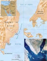 أکادیمی سعودی یدعو حكومة المملكة  الی کسر الصمت بشأن جزیرتی «صنافیر» و«تیران» المحتلتين من قبل أسرائيل