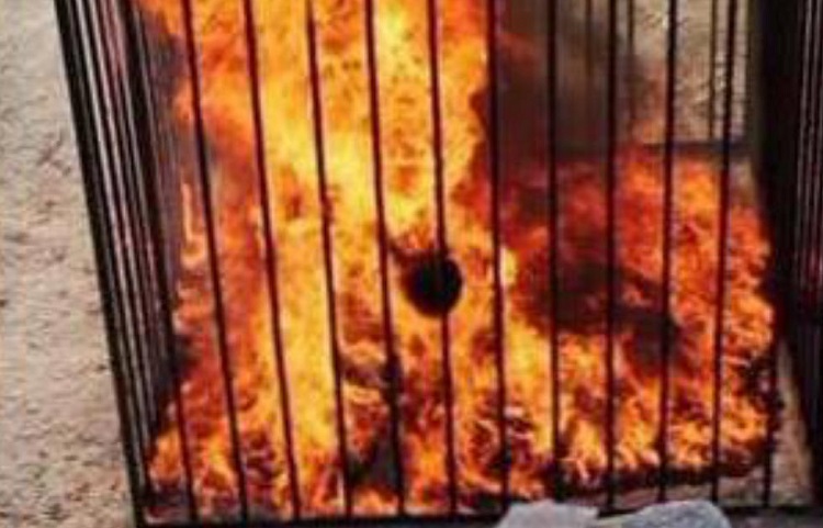 قائممقام الحويجة : داعش أحرق عددا من المواطنيين المعتقلين لديه