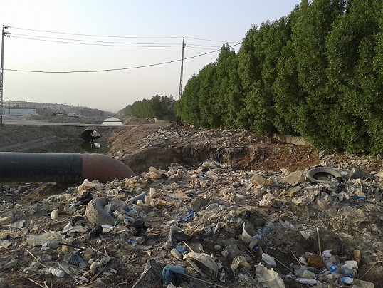 بالصور:روائح عفنة تفضح ما موجود خلف أشجار البصرة