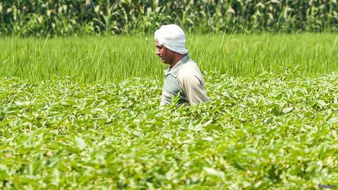 القبض على وزير الزراعة المصري بعد دقائق من استقالته إثر فضيحة فساد