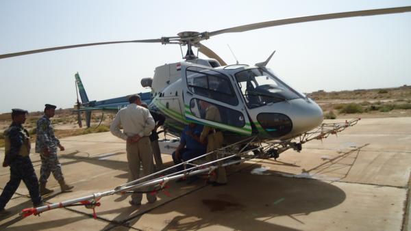 لاول مرة بالعراق مكافحة حشرة دوباس النخيل للجيل الخريفي في كربلاء