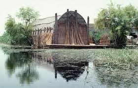 مئات الألوف من الطيور المهاجرة النادرة تصل اهوار العراق لقضاء الشتاء