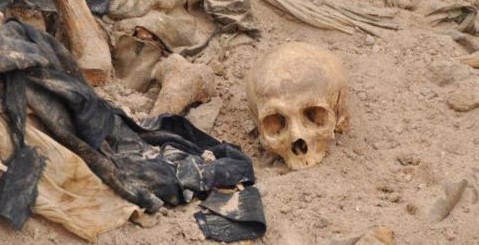 كربلاء: ورشة حول حقوق الانسان في العمل القضائي