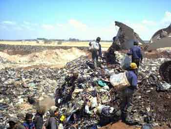 بلدية كربلاء ترفع (1700) طنا من النفايات خلال زيارة عاشوراء الأخيرة