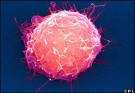 شركة أميركية تستنسخ أجنة بشرية لإنتاج خلايا جذعية