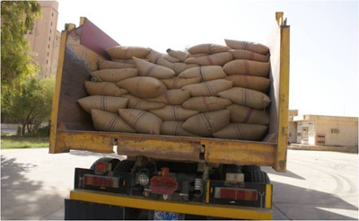 زراعة كربلاء لـ(نون) :استلمنا اكثر من (9823) طناً من محصولي الحنطة والشعير من المزارعين