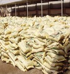 كربلاء : تجهيز مزارعي محصول الذرة الصفراء بالأسمدة الكيمياوية باسعار مدعومة