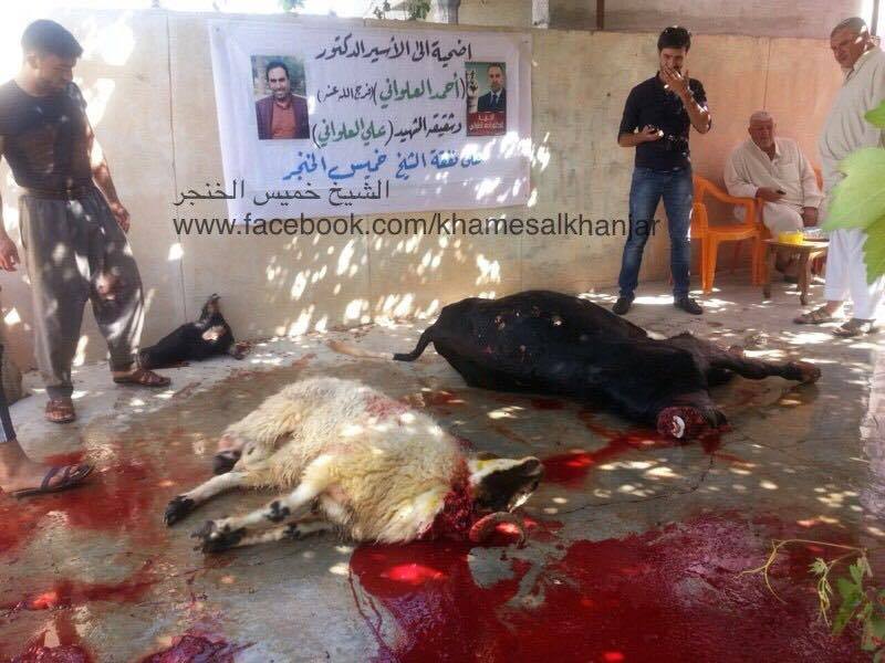 بالصور :خميس الخنجر يضحي لأحمد العلواني