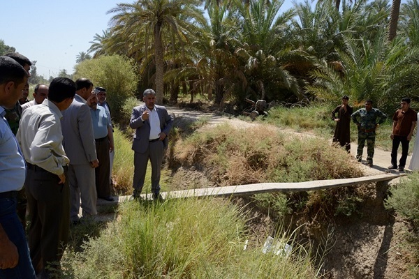 الحكومة المحلية: توجه بتطهير الأنهر والمبازل في ناحية الخيرات من النباتات المائية