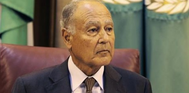 أبو الغيط: سنبذل جهودا كي لا تحصل إسرائيل على مقعد بمجلس الأمن