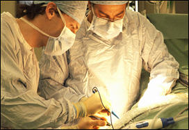 نجاح زرع الكلى دون أدوية لتثبيط المناعة