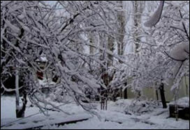 شتاء قاس في افغانستان يودي بحياة نحو الف شخص