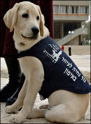 كلاب المستوطنين تحمل أسماء قيادييهم