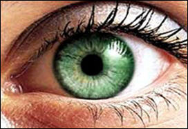 علماء دنمارکيون يکتشفون طريقة لتحديد العمر عبر العيون