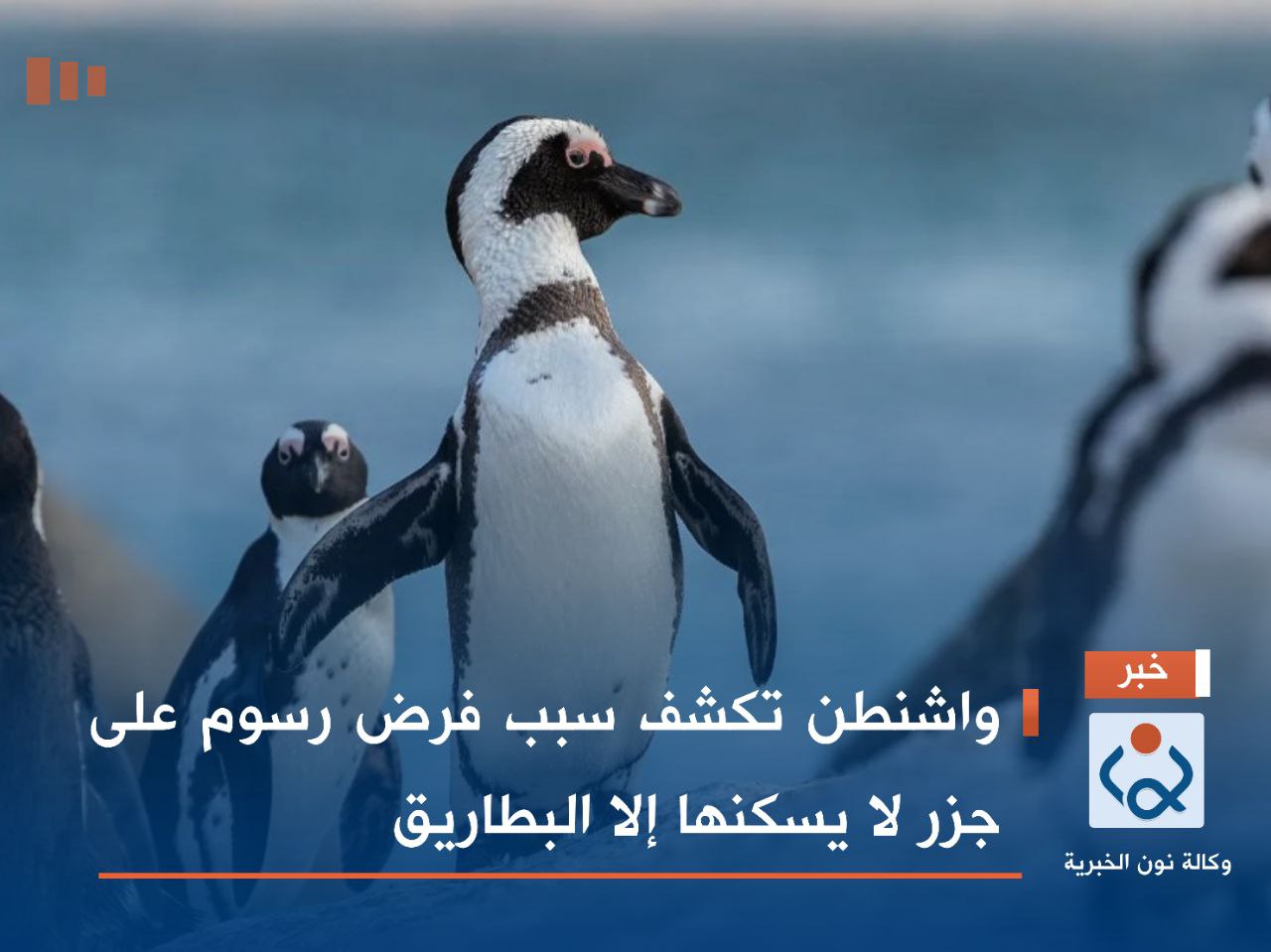 واشنطن تكشف سبب فرض رسوم على جزر لا يسكنها إلا البطاريق