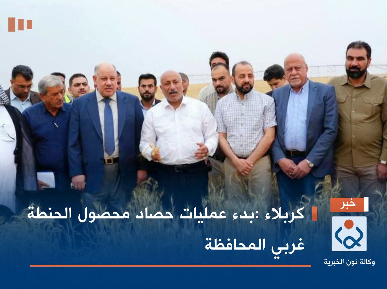 كربلاء :بدء عمليات حصاد محصول الحنطة غربي المحافظة