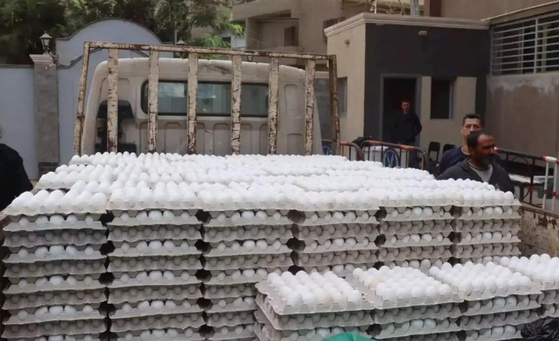 المجلس الوزاري للاقتصاد يقرر السماح بنقل الدجاج وبيض المائدة بين المحافظات