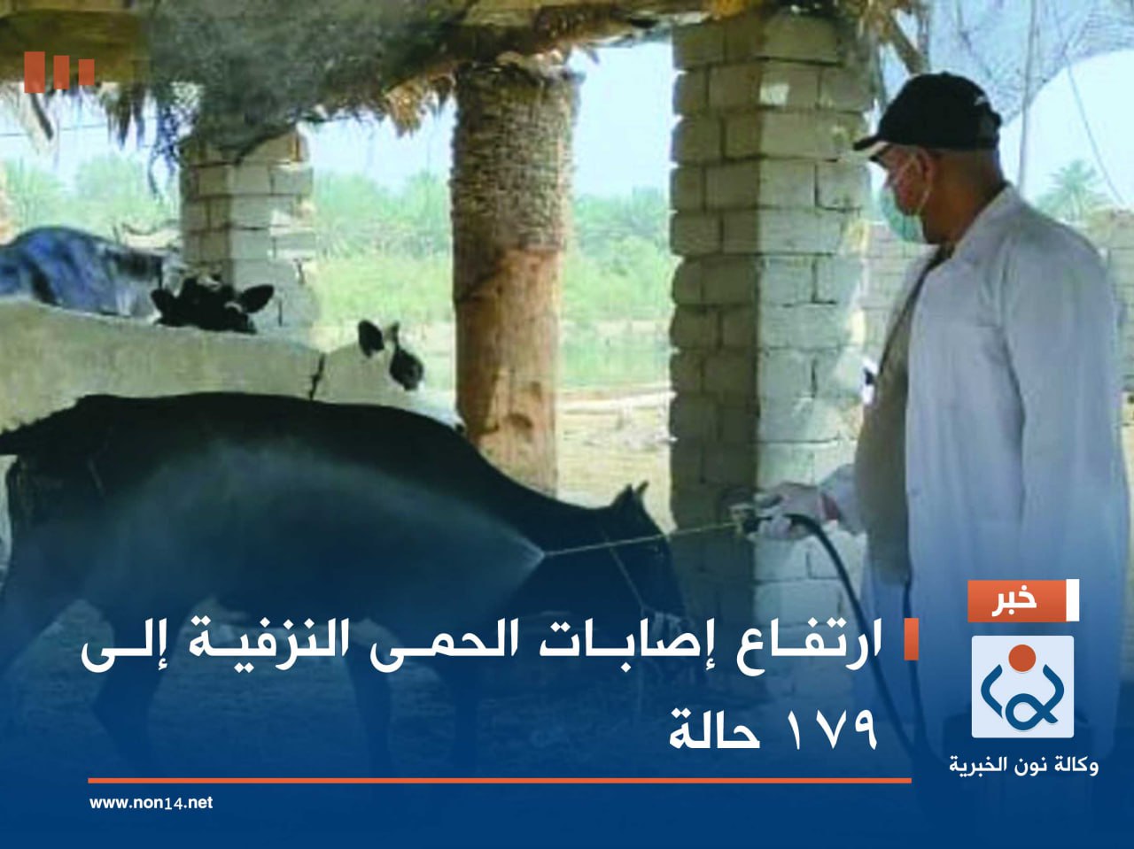 ارتفاع إصابات الحمى النزفية إلى 179 حالة