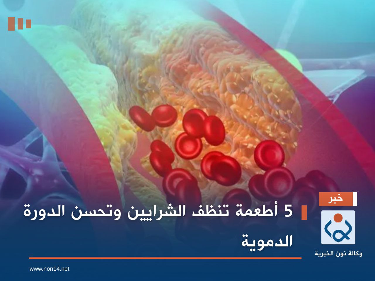5 أطعمة تنظف الشرايين وتحسن الدورة الدموية