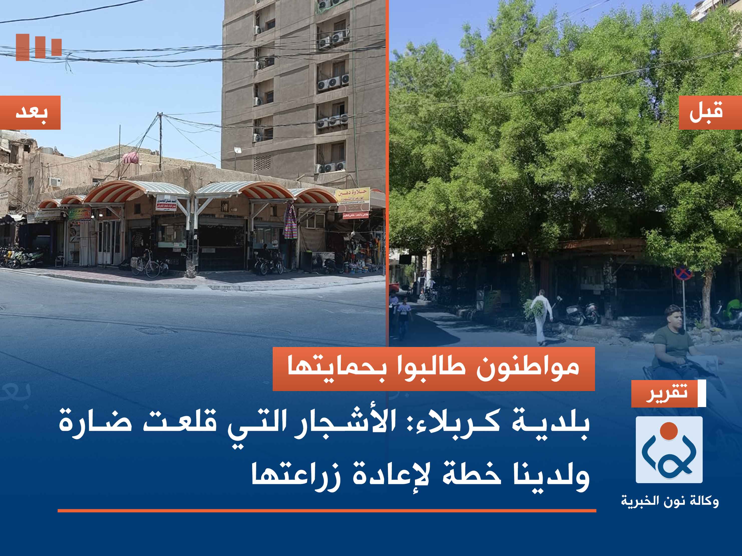 مواطنون طالبوا بحمايتها.. بلدية كربلاء: الأشجار التي قلعت ضارة ولدينا خطة لإعادة زراعتها