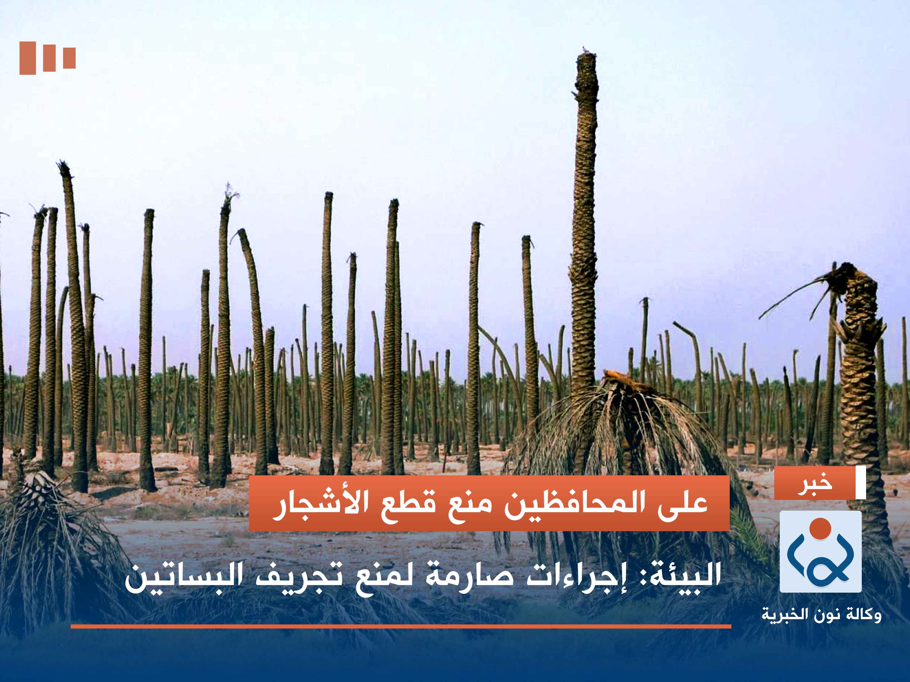 على المحافظين منع قطع الأشجار.. البيئة: إجراءات صارمة لمنع تجريف البساتين