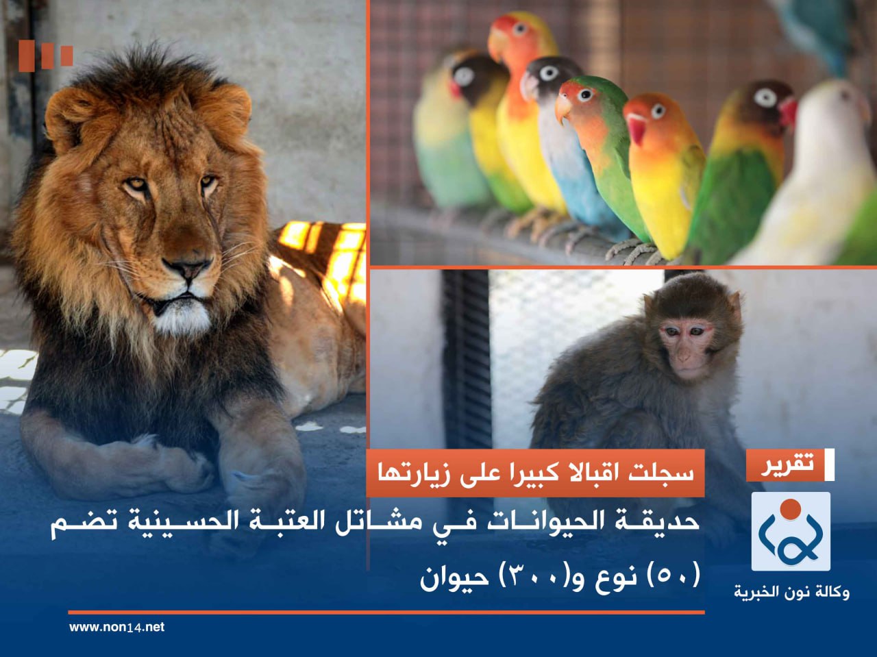 سجلت اقبالا كبيرا على زيارتها.. حديقة الحيوانات في مشاتل العتبة الحسينية تضم (50) نوع و(300) حيوان