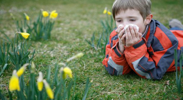 من الطفولة إلى الشيخوخة.. الإصابة بحساسية الربيع ممكنة في أي عمر!