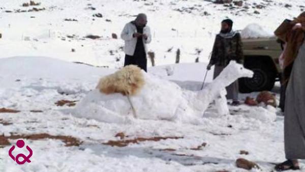 بالصور: هكذا استقبل السعوديون عاصفة الثلج وصنعوا منها الجمال !