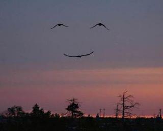 شاب يصنع طائرة ويحلق بها في المثنى