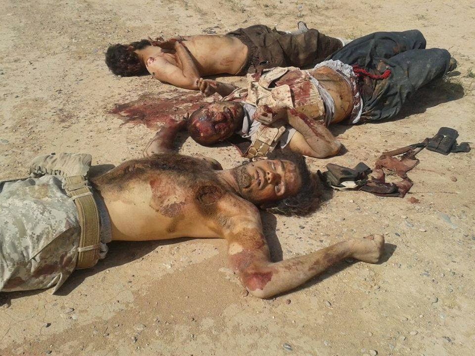 مقتل 25 داعشيا وحرق عجلاتهم في المشاهدة