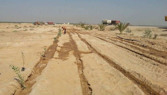 كربلاء :زراعة خمسة آلاف شجرة في مدخل قضاء عين التمر