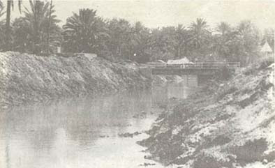 كربلاء :صورة ارشيفية لنهر الحسينية في ستينات القرن الماضي