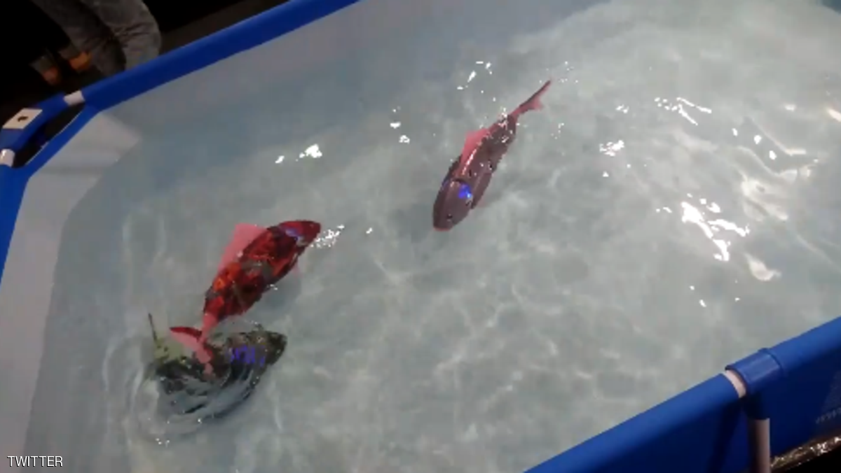 زيّن منزلك بأسماك روبوتية !