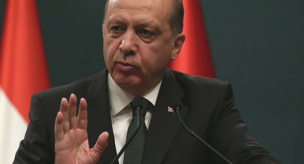 أردوغان يقترب من حلم "الرئيس" حتى 2029