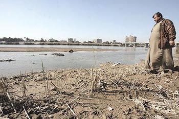 ملوحة مياه الري تهدد الواقع الزراعي في البصرة