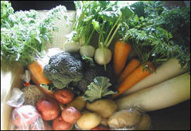 فيتامين (هـ) قد يزيد مخاطر الاصابة بالدرن بين المدخنين