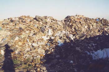 البلديات في كربلاء ترفع (5000) طن من النفايات اثناء الزيارة الاربعينية