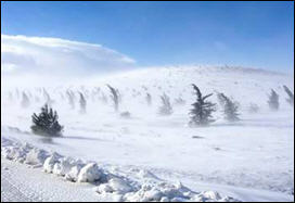 اكتشاف علاقة البکتريا في تکوين الثلوج