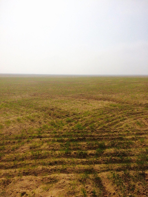 البدء بزراعة القرية العصرية في كربلاء المقدسة