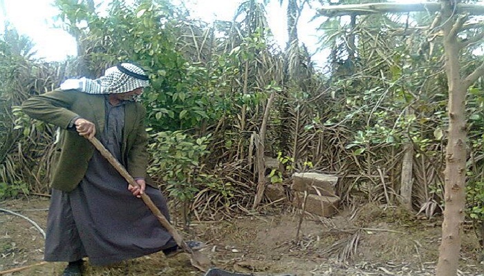 كربلاء:مركز لمحو الأمية في المزرعة الارشادية بالجدول الغربي