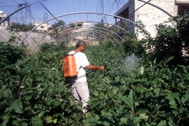 زراعة كربلاء تحذر وكلاء المبيدات الزراعية من التعامل بالمبيدات  المحظورة والمسرطنة