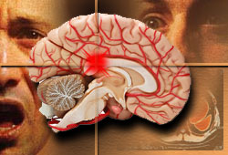 قال باحثون أمريكيون إن تقنية لتصوير المخ قد تجعل من الممكن للمرء رؤية ما يراه اخرون.