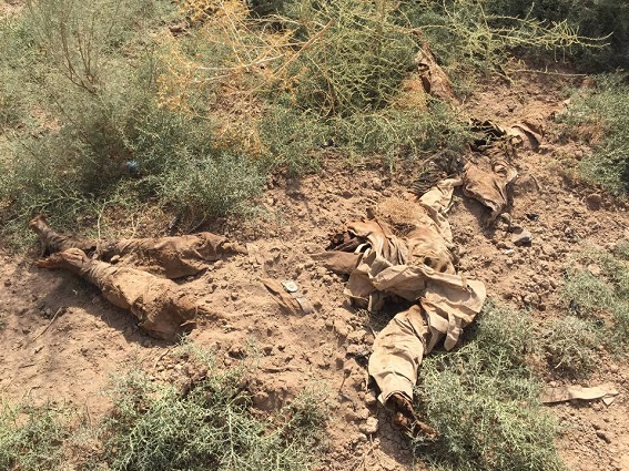 بالصور:العثور على 8 جثث مقطوعة الرؤوس لعناصر داعش من جنسيات مختلفة في بيجي