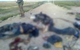 مقتل قيادي داعشي شقيق لنائب بالبرلمان العراقي