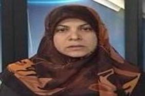 دولة القانون: تحالفنا مع الأكراد وصل إلى مراحله النهائية