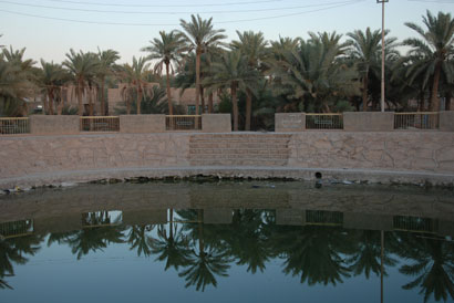 الزراعةُ في عين التمر. مشاكلُ وحلولٌ ..بنجاح البيوت البلاستيكية تراجعت الزراعة التقليدية