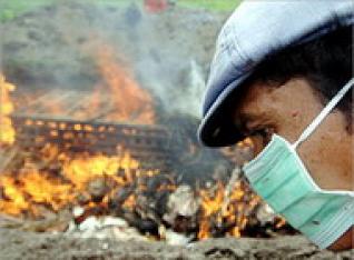 مدير بيئة الفرات الاوسط :شكلنا لجنة  لمتابعة المفاعل النووي الايراني على الحدود  وسنرصد أي أشعاع من دول الجوار