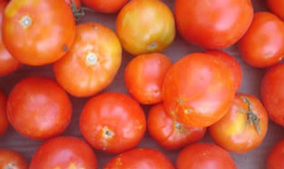 منع دخول محصول الطماطم من معبر النخيب الى كربلاء لإصابتها بمرض يسبب خسائر جسيمة