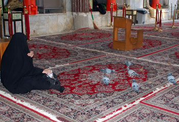 طيلة سبعة اعوام طيور الحمام في موعد يومي مع امراءة كبيرة في الصحن الحسيني الشريف